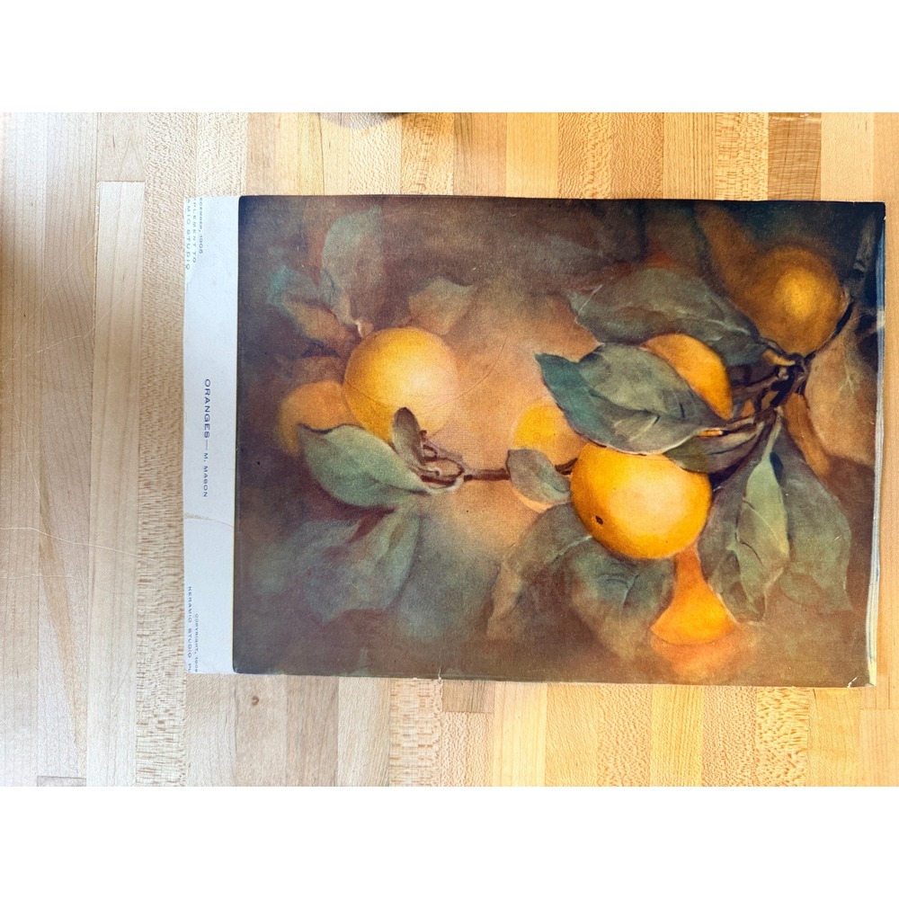 Vintage 1905 Oranges M Mason Art Print Keramic Studio Antique Botanical Fruit